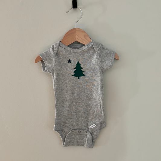 Maine State Flag Onesie