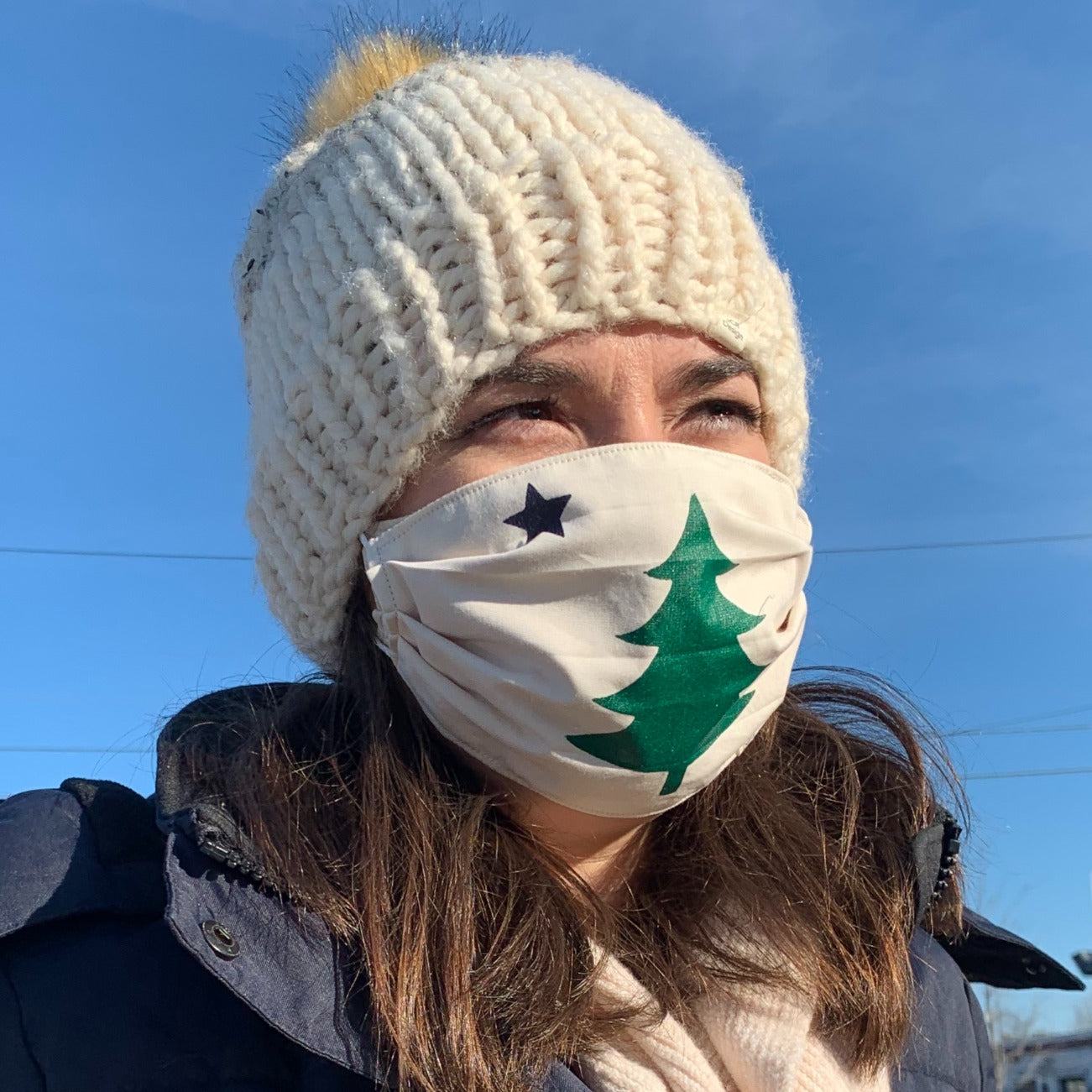 Maine Flag Mask image 1